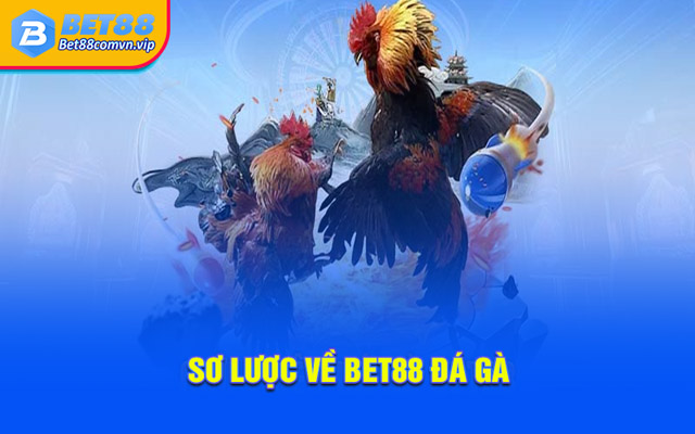 Tổng quan về Bet88 đá gà